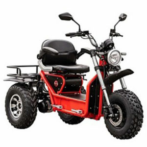 All Terrain Mobility Scooter